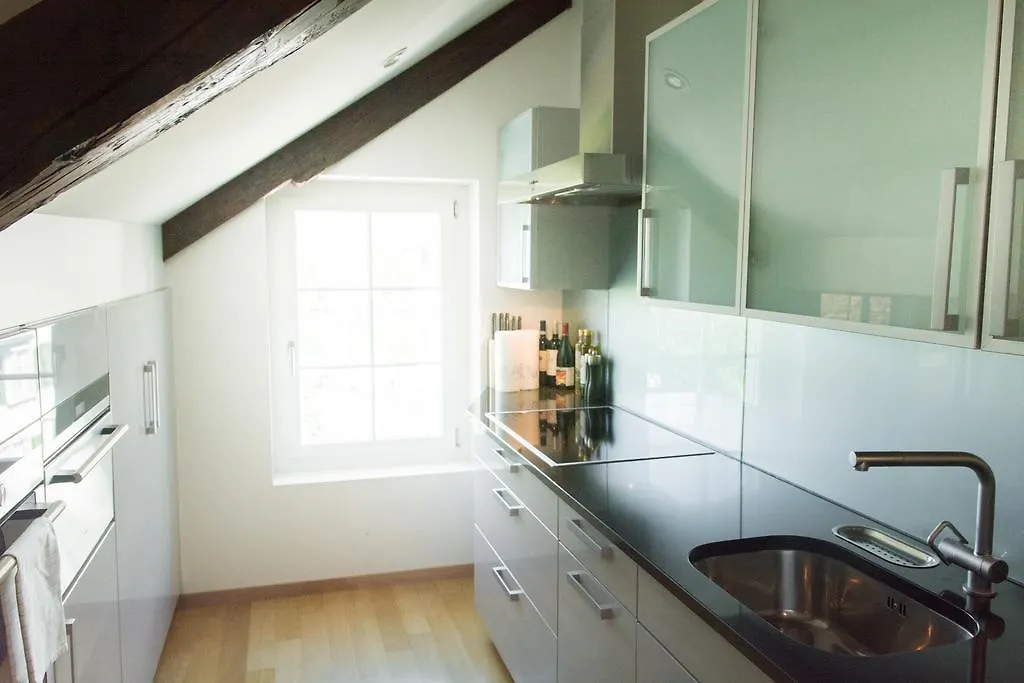 Apartment Lake Side Location Bellevue Zürich